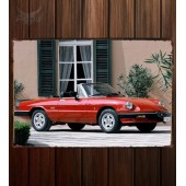 Металлическая табличка Alfa Romeo Spider (115)